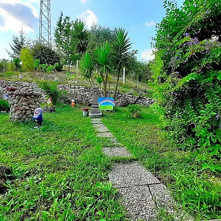 Santa Sofia By Holidayngo Bed and Breakfast Paravati